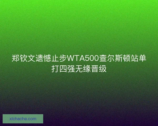 郑钦文遗憾止步WTA500查尔斯顿站单打四强无缘晋级