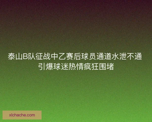 泰山B队征战中乙赛后球员通道水泄不通 引爆球迷热情疯狂围堵