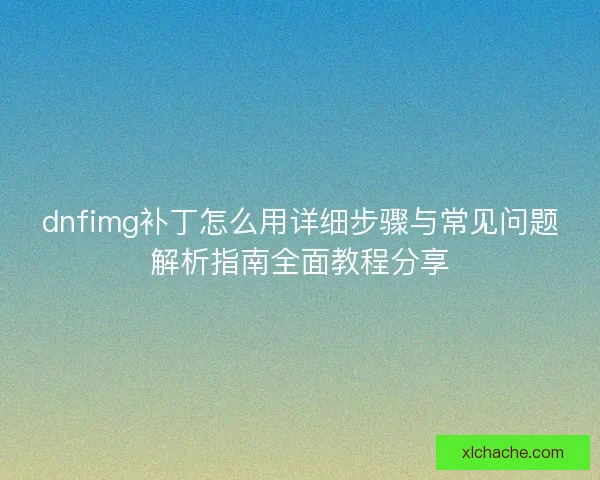 dnfimg补丁怎么用详细步骤与常见问题解析指南全面教程分享